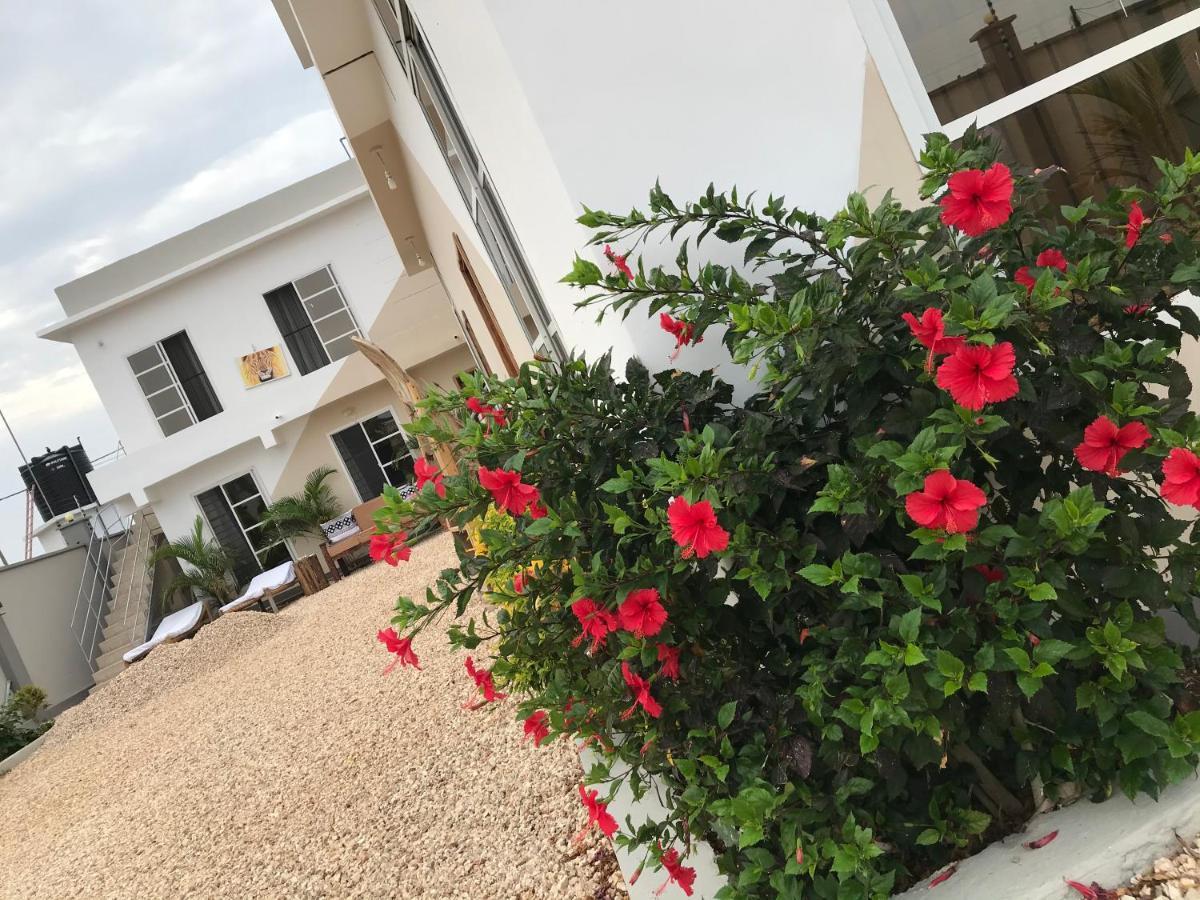 Vick Boutique Hotel With New Power Backup Nungwi Exterior photo